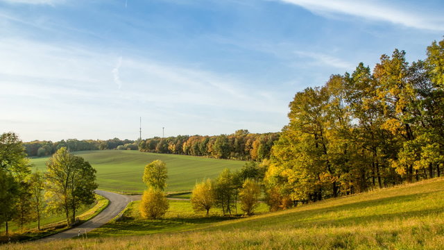 Golden Autumn Time Lapse