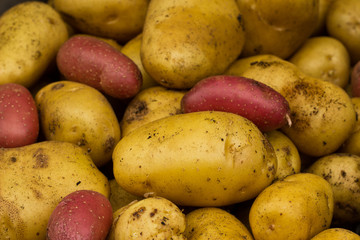 Group of Assorted Potatoes