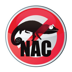 NAC : nouveaux animaux de compagnie