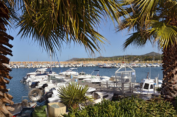 Port of Argelès-sur-Mer in France