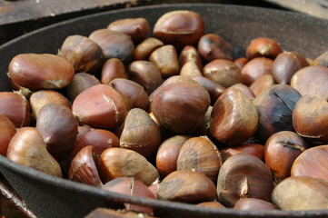 caldarroste castagne