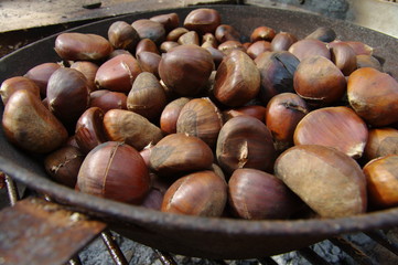 castagne