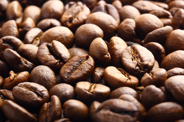 coffee beans background macro photo