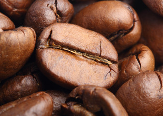 coffee bean extreme macro shot