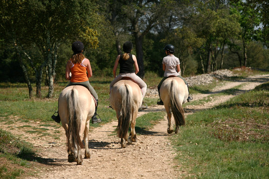 Randonn&eacute;e &agrave; cheval - Tourisme nature