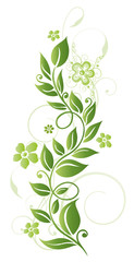 Frühling, frame, Blätter, Laub, Ranke, Grüntöne