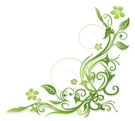 Frühling, frame, Blätter, Laub, Ranke, Grüntöne