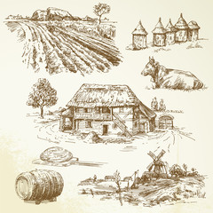 rural landscape, agriculture, farming