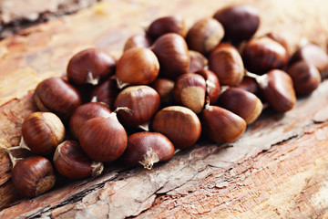 edible chestnuts