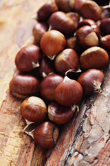 edible chestnuts