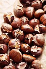 edible chestnuts