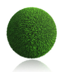 green grass ball on white background