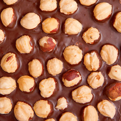 Background or texture from dark chocolate with nuts