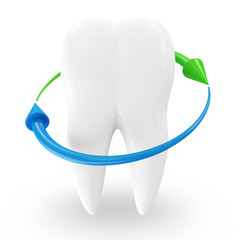 Tooth with Arrows on white background (Protection Concept)