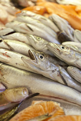 Fototapeta premium Hake fish closeup photo from market stall, selective focus