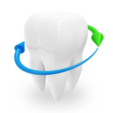Tooth with Arrows on white background (Protection Concept)