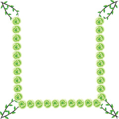 Flower of frame on background