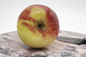 Apfel rot/gelb