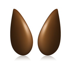 Pépins