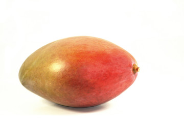 mangue