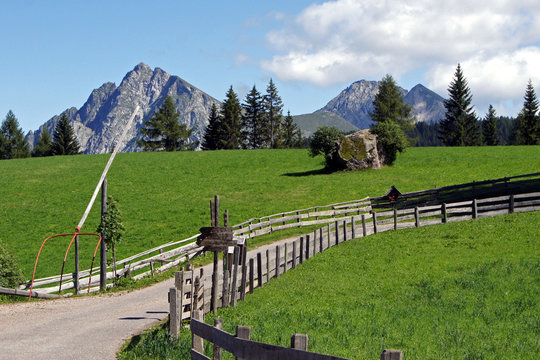 Mistgabel,S&uuml;dtirol