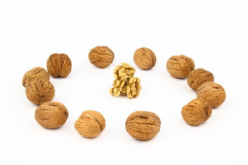 The walnut