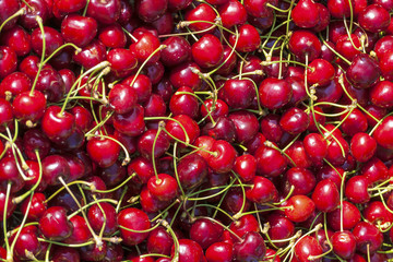 Pile of fresh cherries