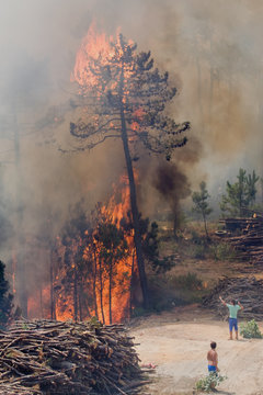 Incendio florestal