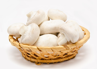 Champignon mushroom white agaricus in the basket