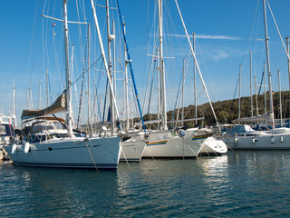 Obraz premium yachts