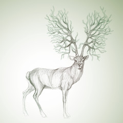 Deer with antlers like Christmas tree / Surreal vector sketch