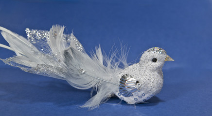 vogel mit blauen hintergrund