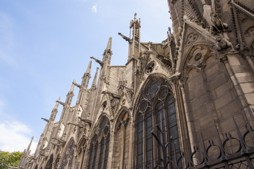 Cattedrale di Notre Dame - Parigi