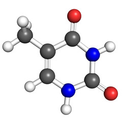 Obraz premium Thymine molecule