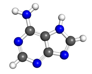 Adenine molecule