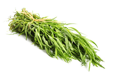 Fresh tarragon herb