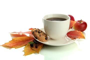cup of hot tea and autumn leaves, isolated on white