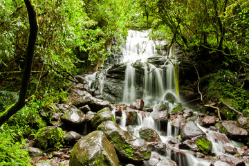 Fototapeta na wymiar tropical rain forest with waterfall