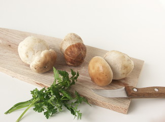 cèpes en cuisine