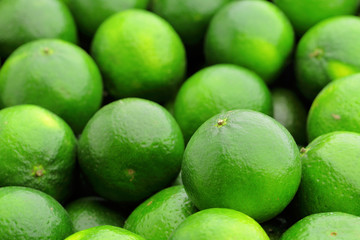 lime citrus fruit