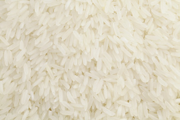 Uncooked Rice