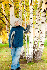 A boy in a birch forest in autumn