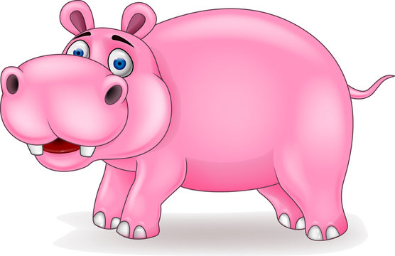 Hippo cartoon