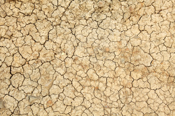 Texture of clay, background