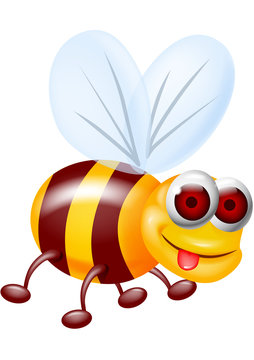 Funny bee carton