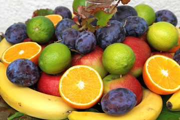 Obstteller