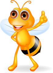 Bee cartoon thumb up