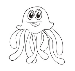 octopus