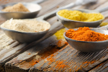 Assortment of powder spices on spoons