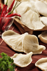 oyster mushrooms